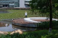 Ecological Restoration into a lakefront urban realm