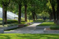 Ecological Restoration into a lakefront urban realm