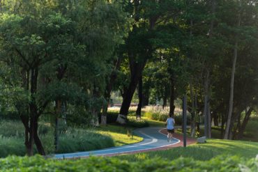 Ecological Restoration into a lakefront urban realm