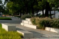 Ecological Restoration into a lakefront urban realm