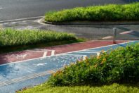 Ecological Restoration into a lakefront urban realm