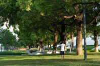 Ecological Restoration into a lakefront urban realm