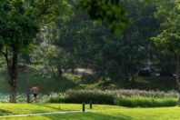 Ecological Restoration into a lakefront urban realm