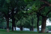 Ecological Restoration into a lakefront urban realm