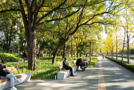 Beijing Zhongguancun Avenue Urban Park